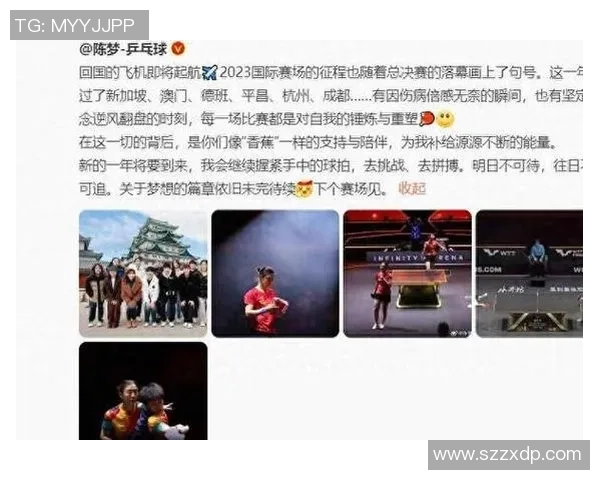 西安乒乓球队在总决赛中的强势表现与未来展望分析 西安乒乓球队在总决赛中的强势表现与未来展望分析