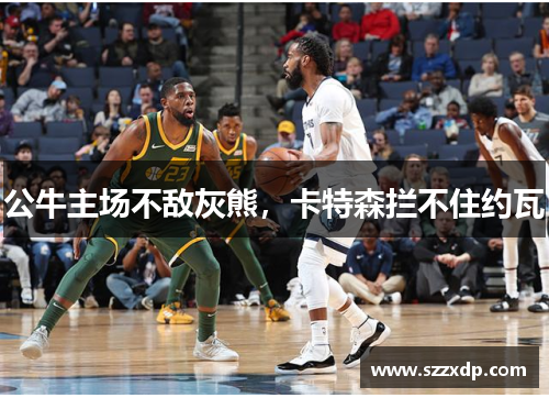 公牛主场不敌灰熊，卡特森拦不住约瓦