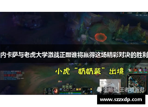 内卡萨与老虎大学激战正酣谁将赢得这场精彩对决的胜利