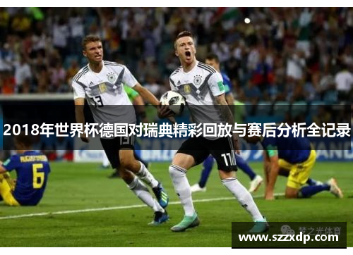 2018年世界杯德国对瑞典精彩回放与赛后分析全记录
